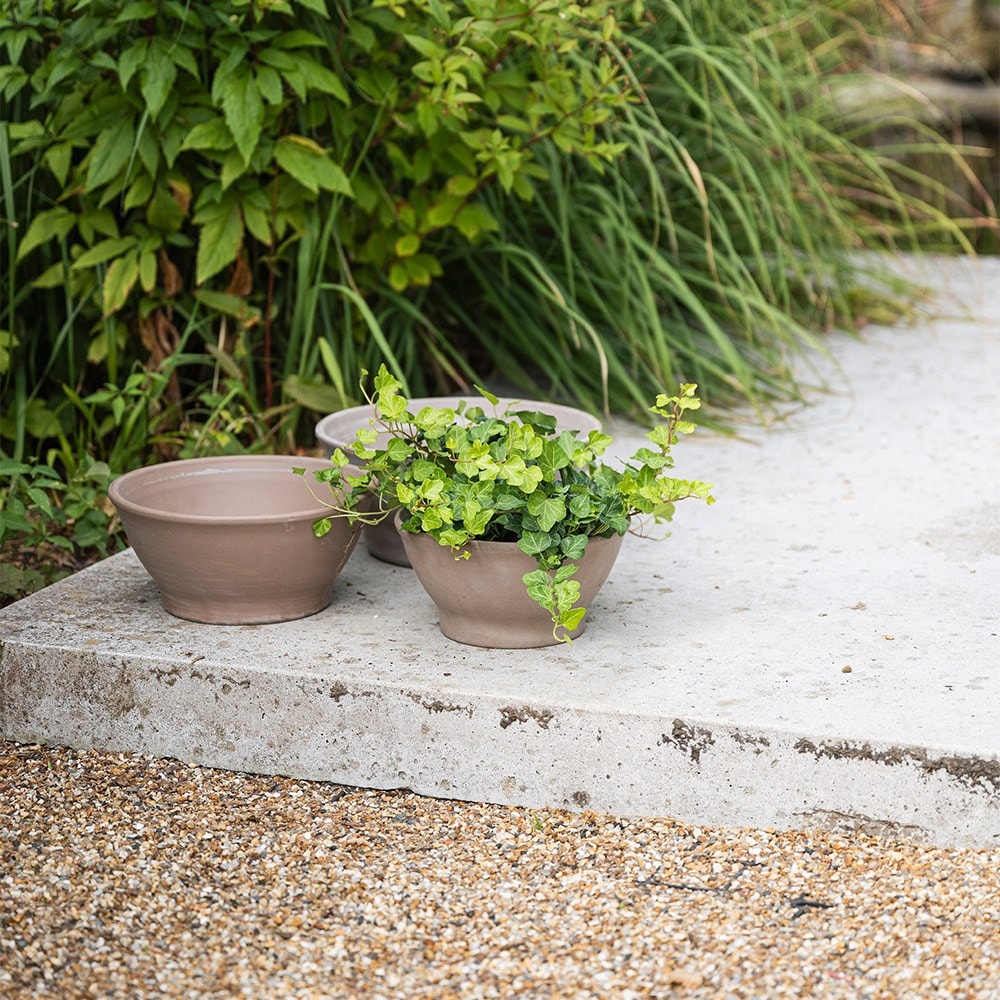 Italian terracotta bowl planter - grey