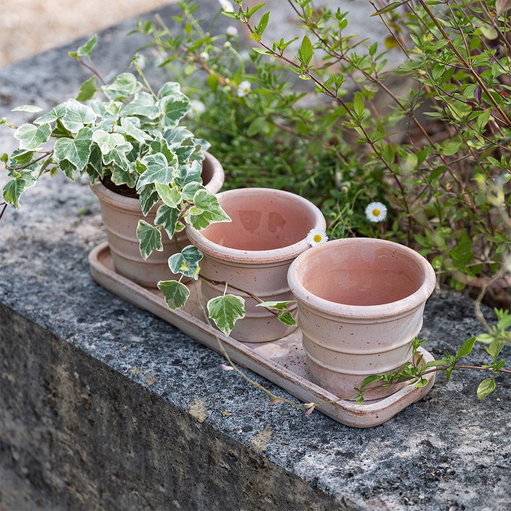 Italian terracotta pots whitewash - set of 3 with tray