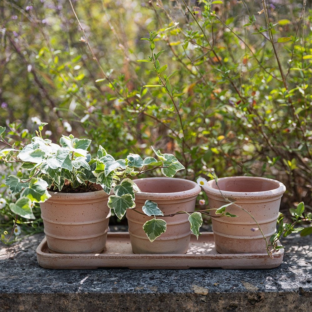Italian terracotta pots whitewash - set of 3 with tray