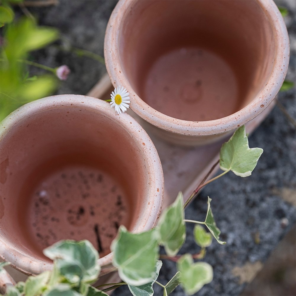 Italian terracotta pots whitewash - set of 3 with tray