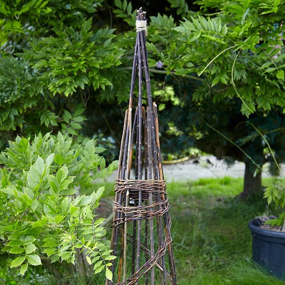 Willow spiral obelisk - natural