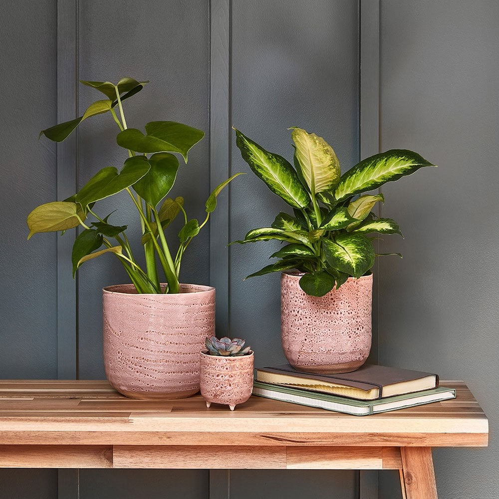 Pink on sale plant pot