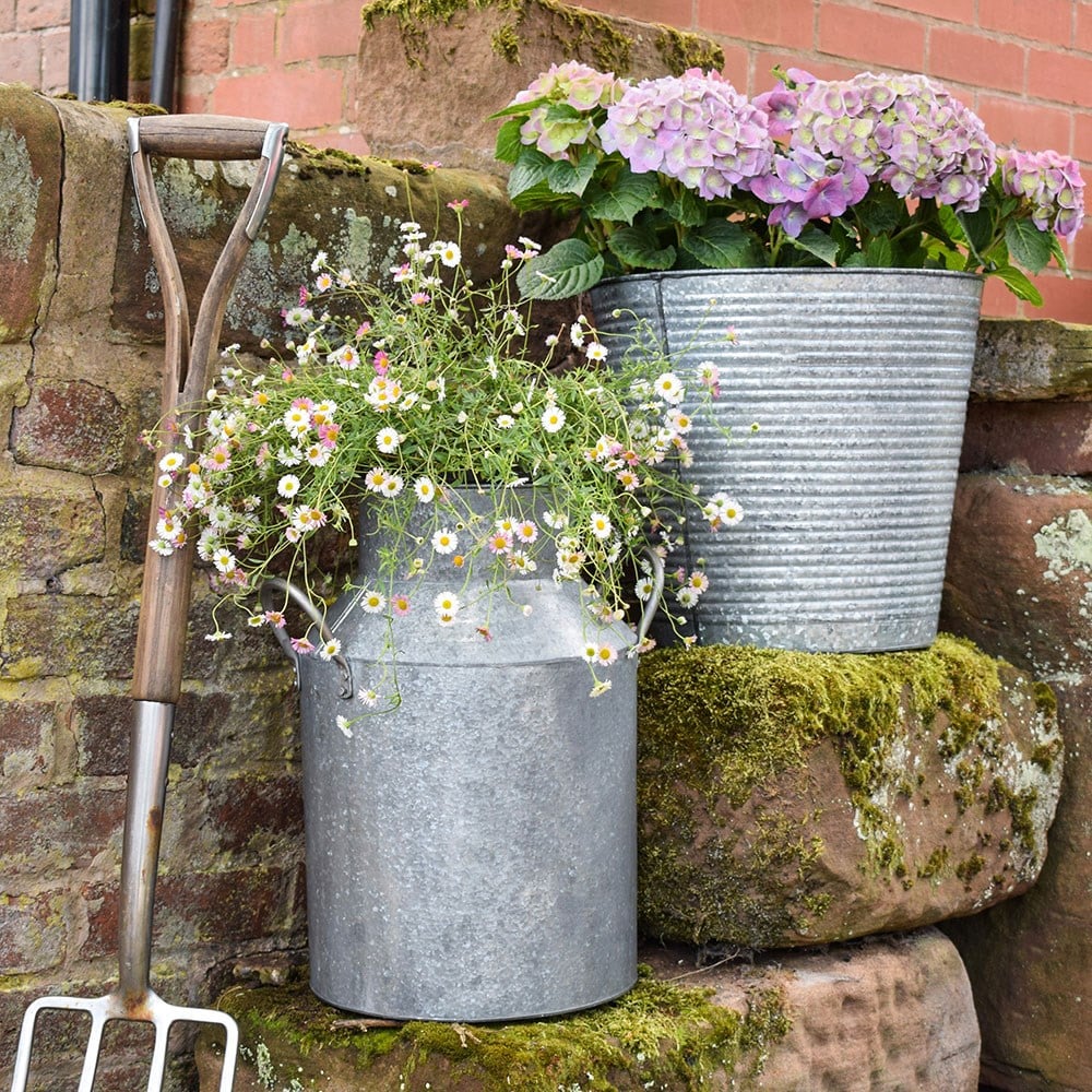 Galvanised metal milk churn