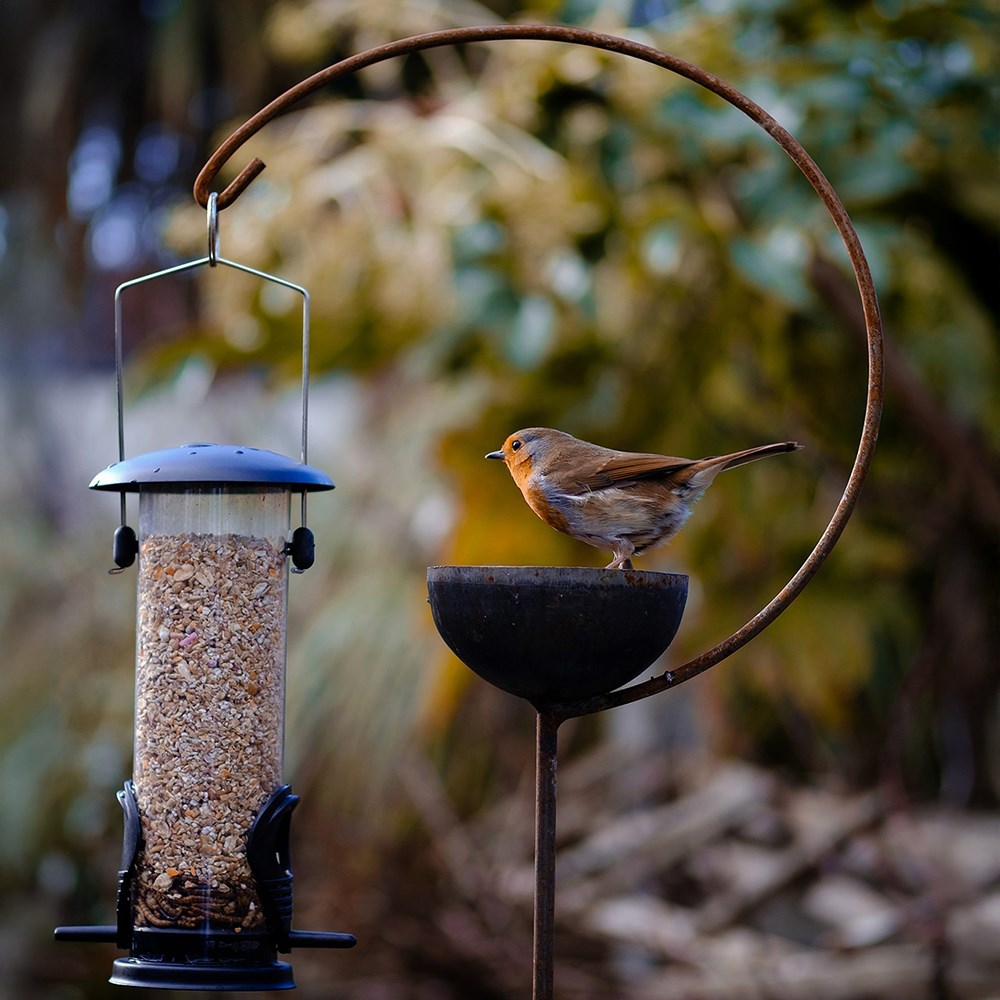 Freya bird crook with bowl and hook - rust