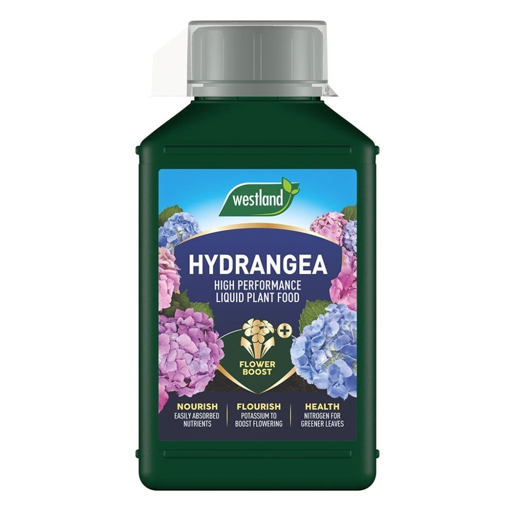 Westland hydrangea liquid feed