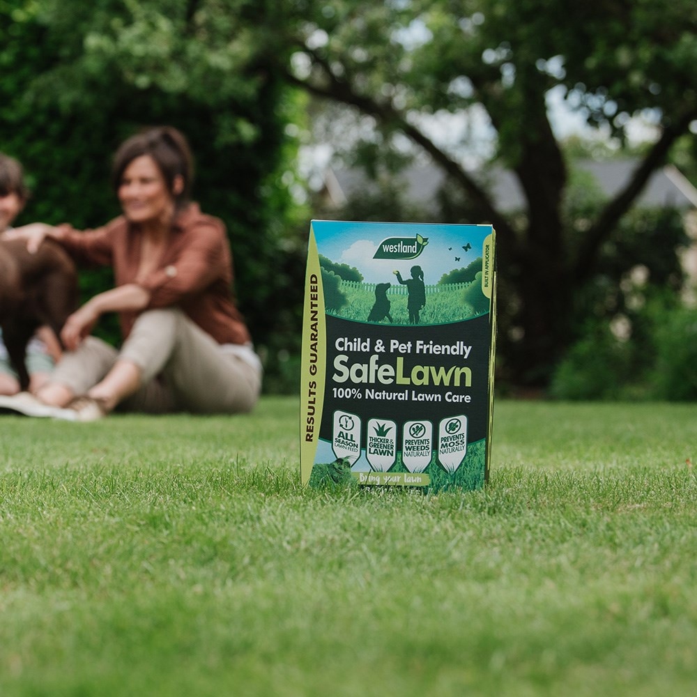 Product options image