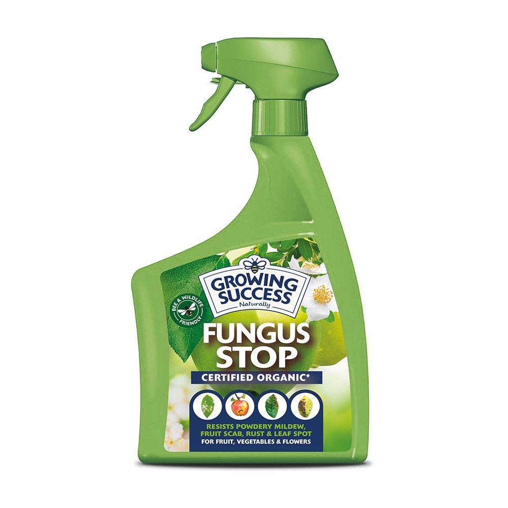 Growing success fungus stop