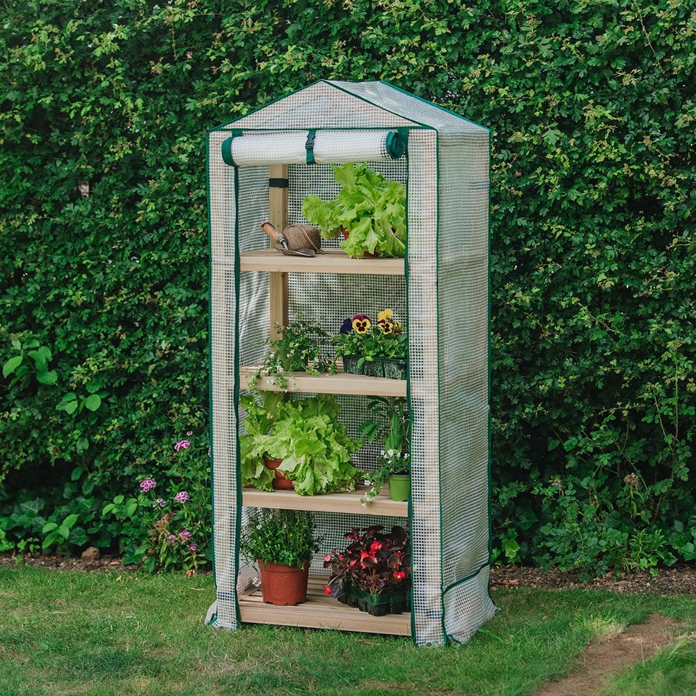 Premium 4 tier wooden growhouse