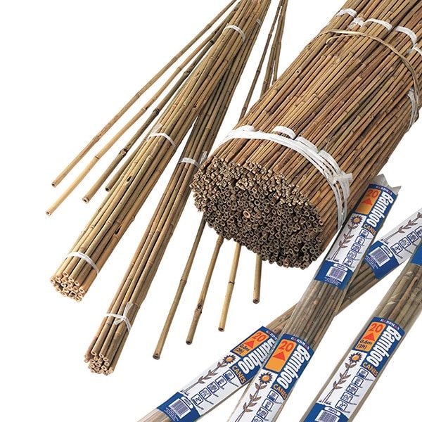 Bamboo canes bulk bundle - pack of 20