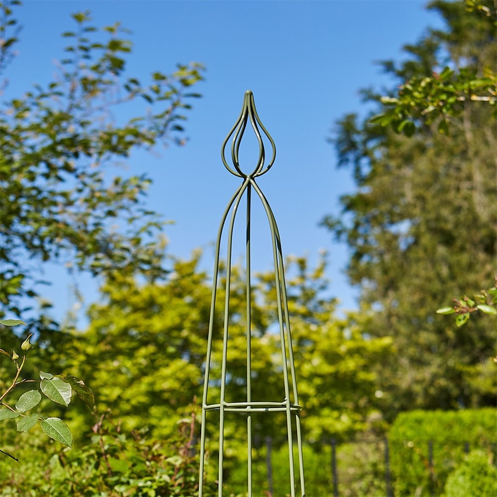 Product options image