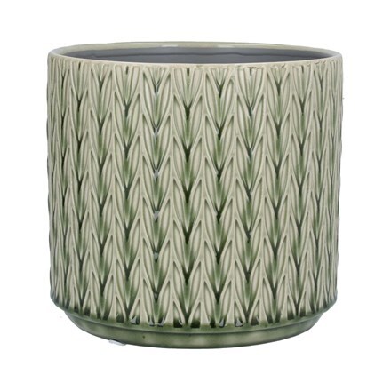 Green staghorn ceramic pot