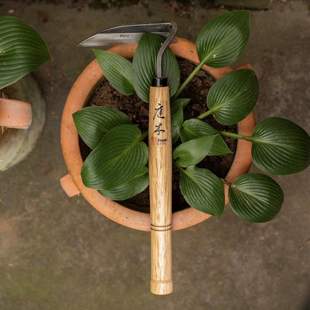 Product options image