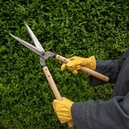 Buy Niwaki Garden Shears