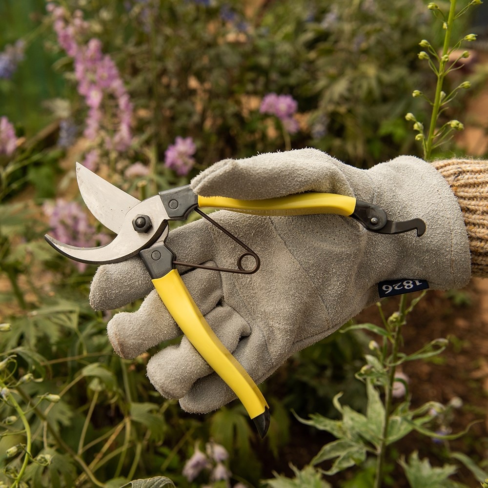 Product options image