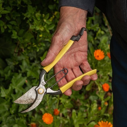 Best secateurs to buy 2023: bypass, anvil and rachet