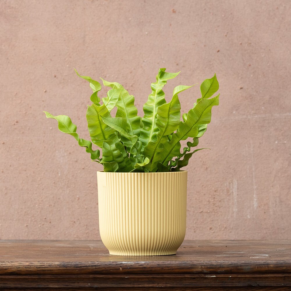 Vibes fold round yellow pot cover