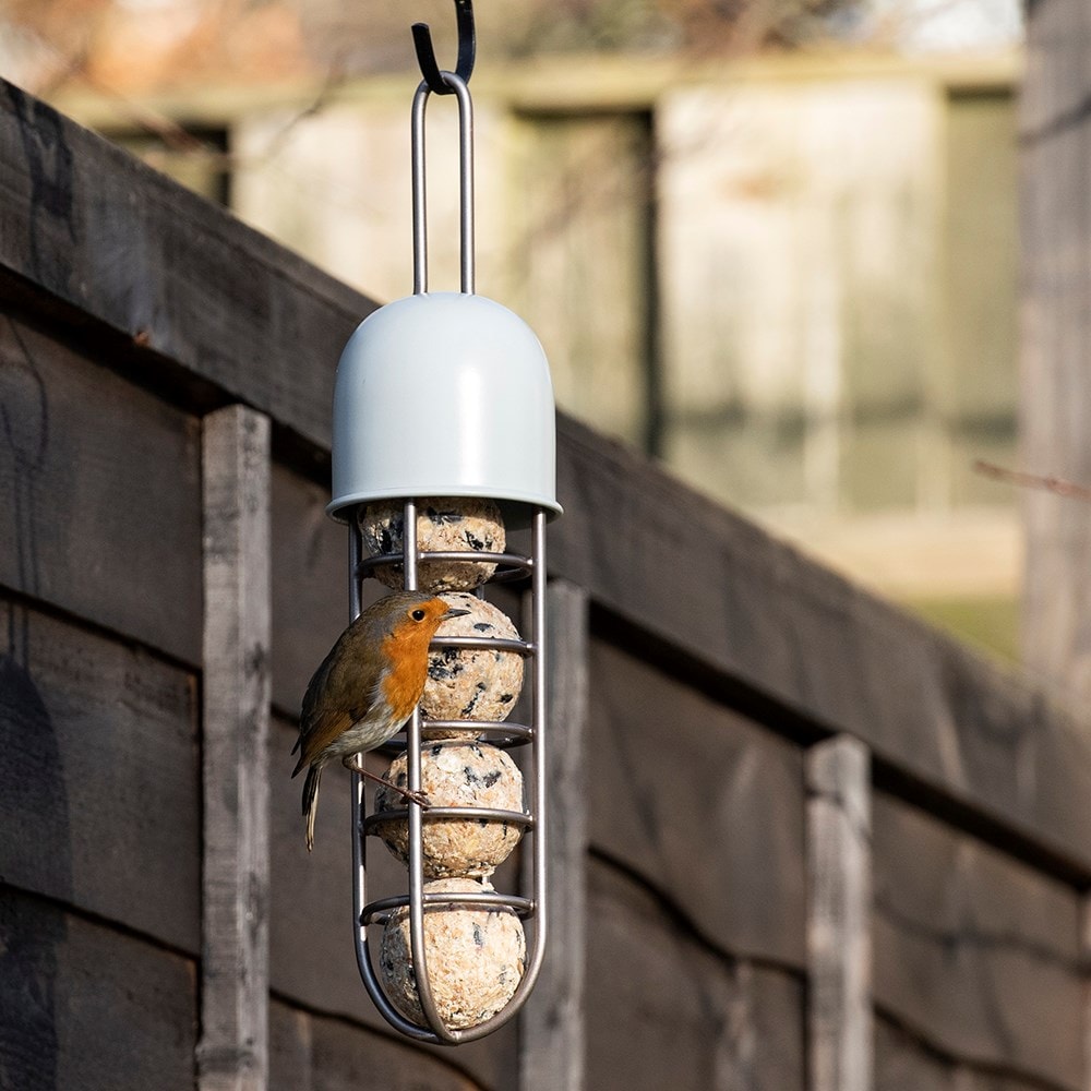 Product options image