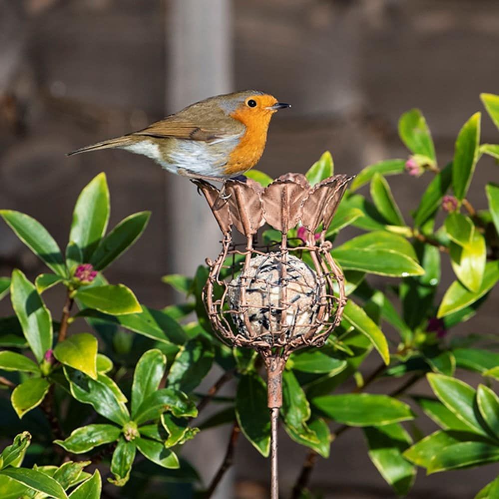 Bird feeders