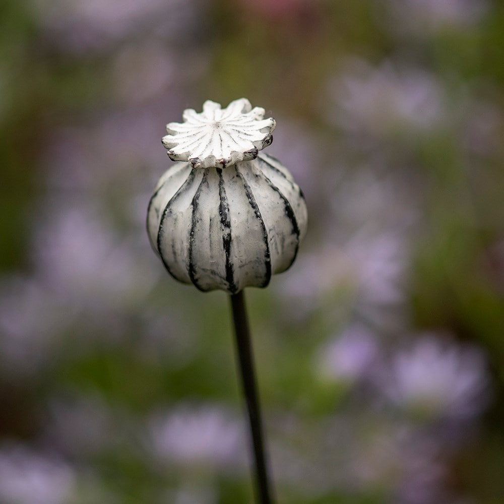 Perennial plant/bulb marking stake poppy seed head
