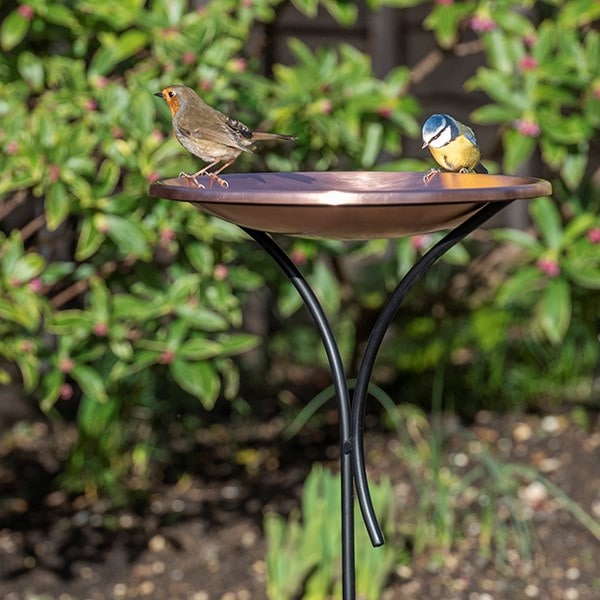 Brushed copper bird bowl on a stake
