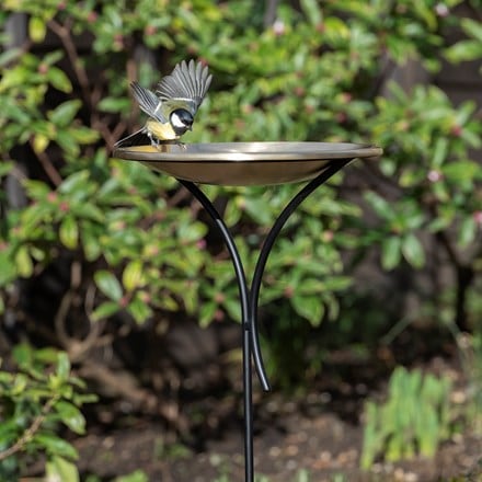 Brushed brass bird bowl on a stake