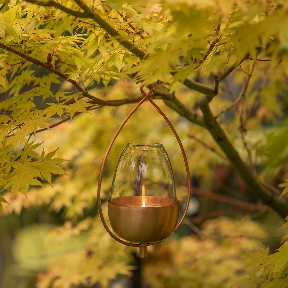 rustic wire tulip lantern