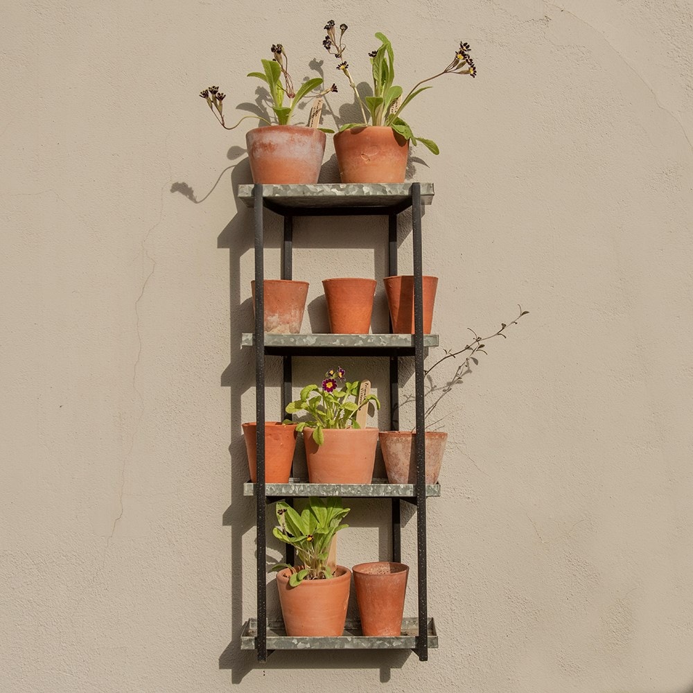 Wall plant display