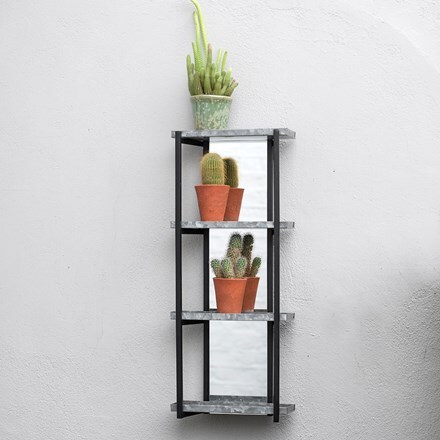 Wall plant display with mirror