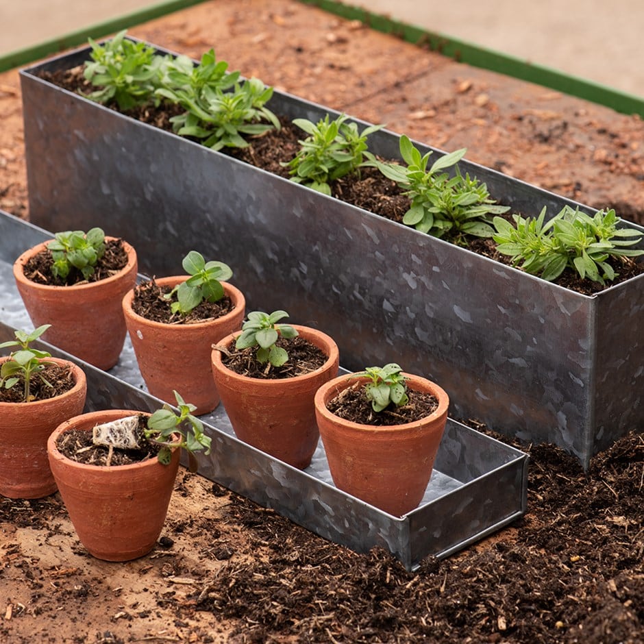 Galvanised box with ten grow pots