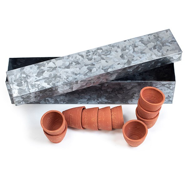 Galvanised metal box with ten grow pots