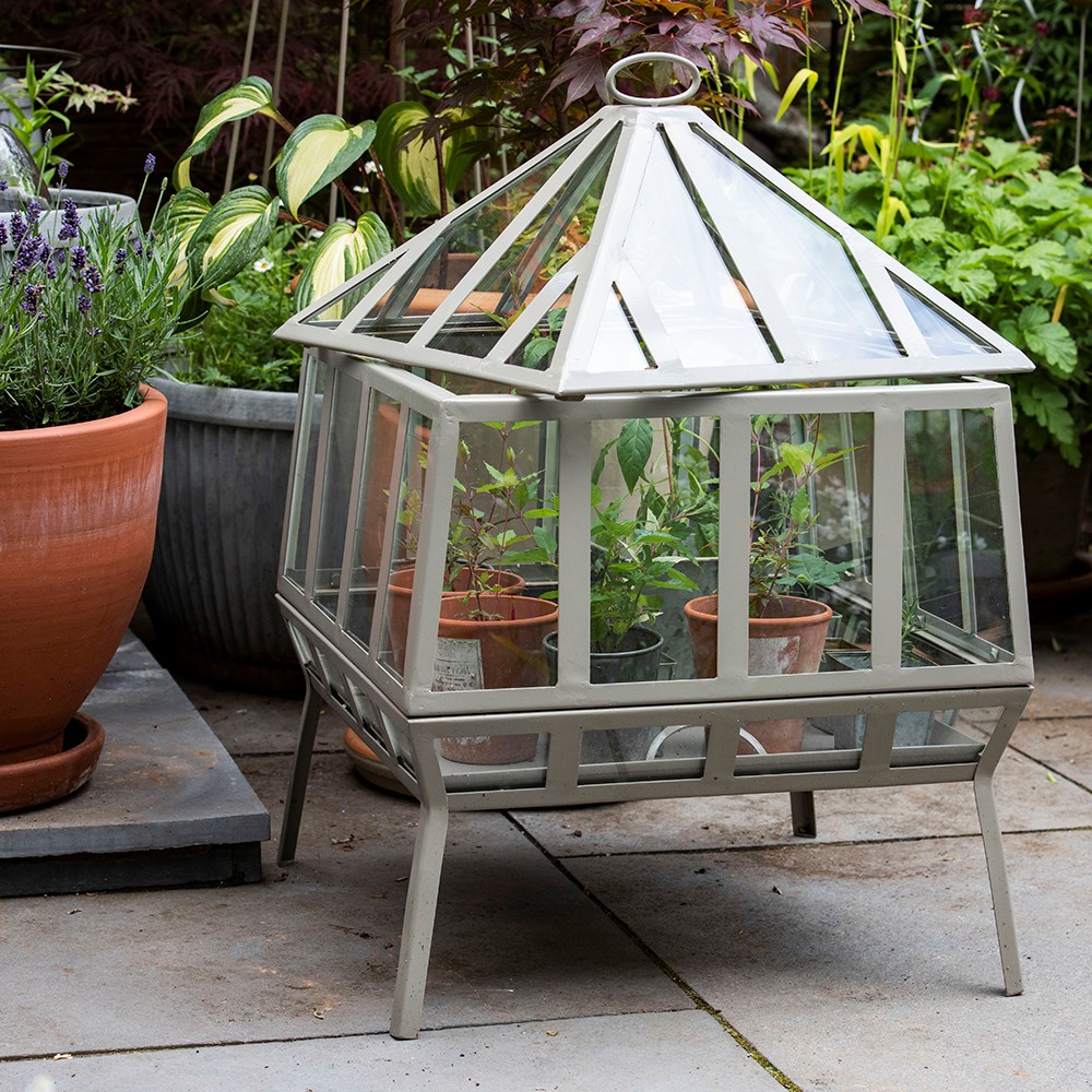 Product options image