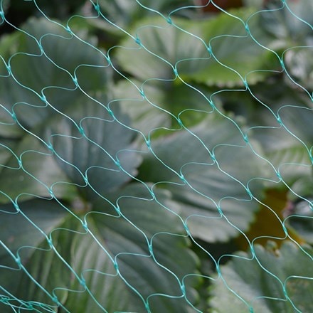 Garden netting