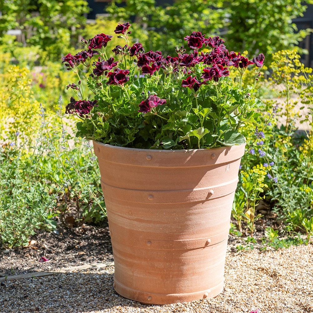 Statement pots