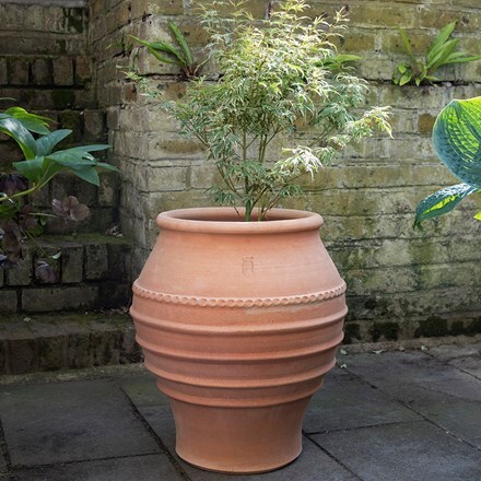 Buy Koronios terracotta pot: Delivery by Crocus