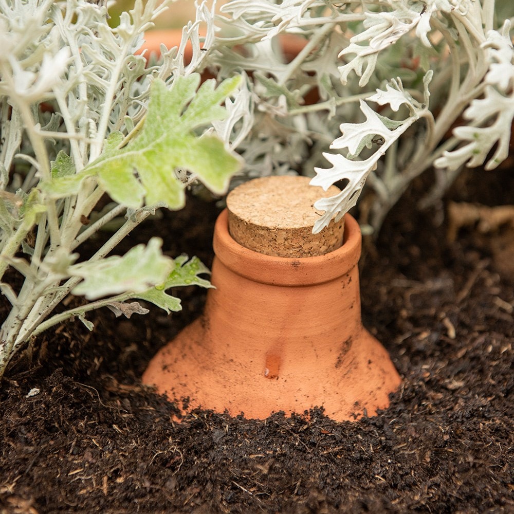 Product options image