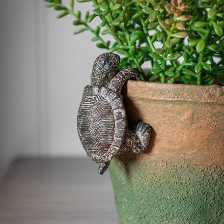 Winston tortoise pot hanger - twinpack