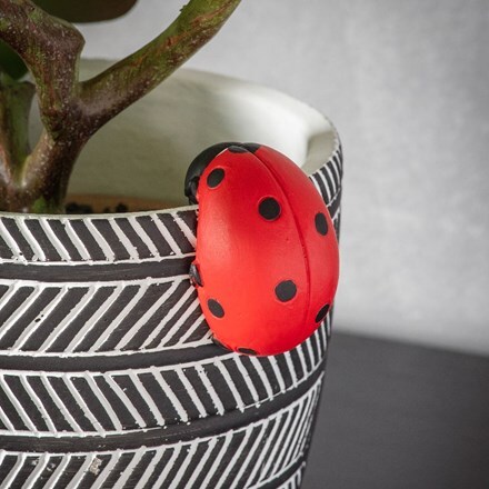 Eve ladybird pot hanger -twinpack