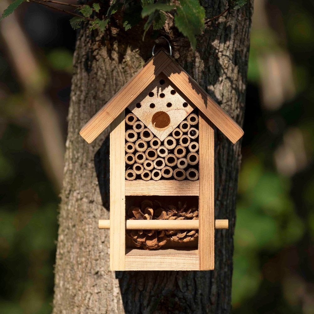 Product options image