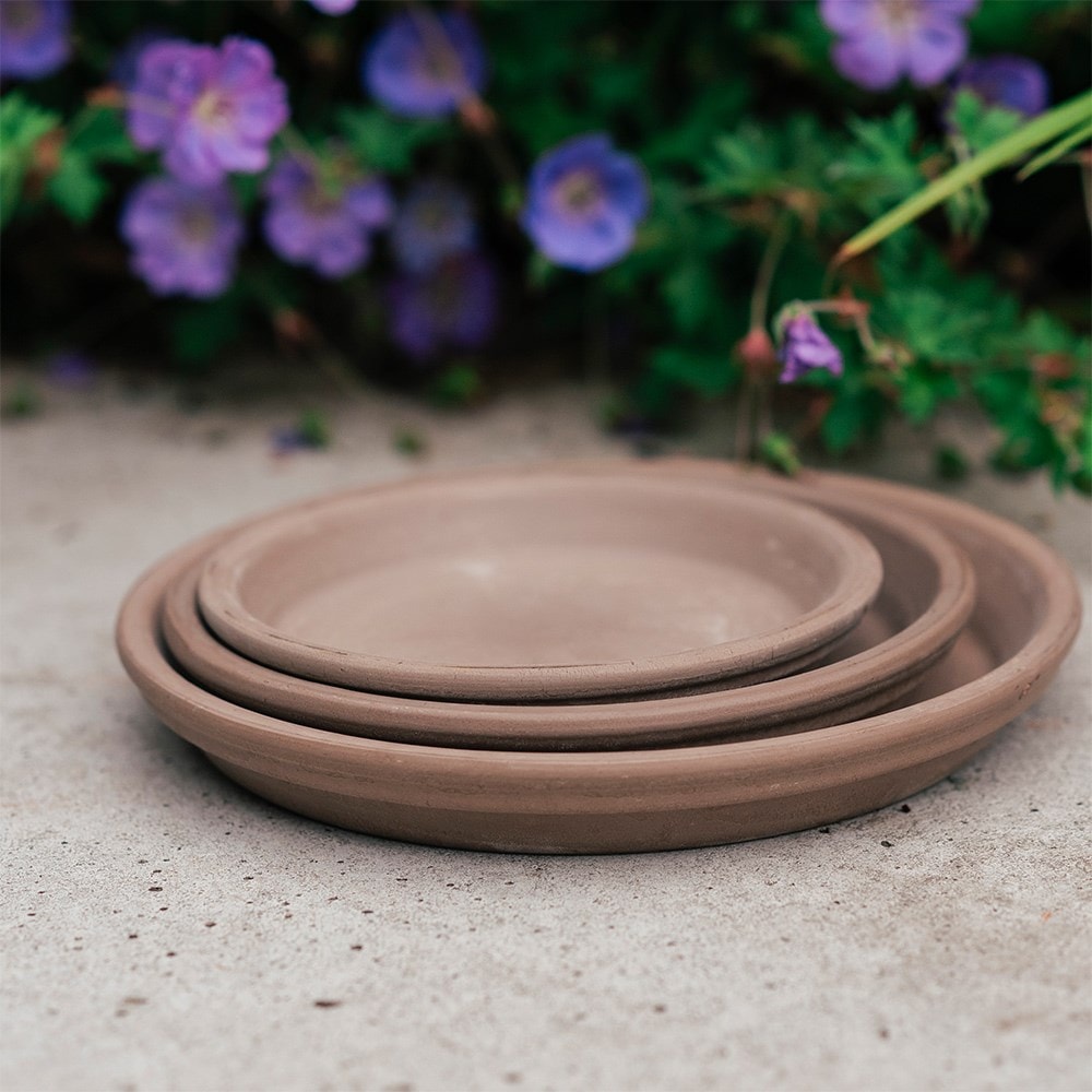 Product options image