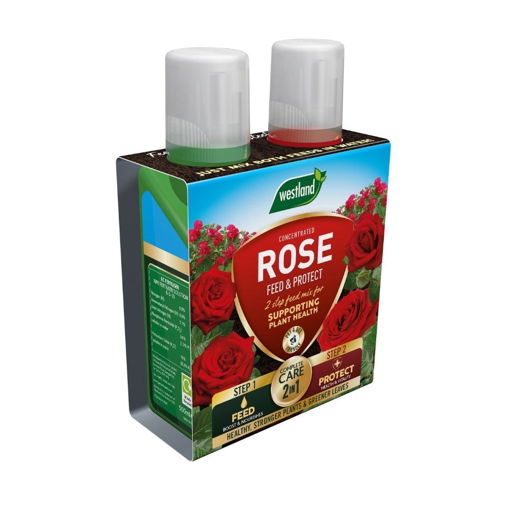 Rose feed and protect 