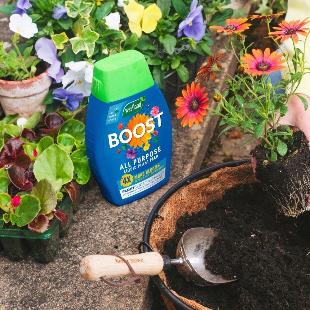 Product options image