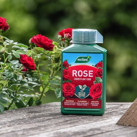 Specialist rose liquid feed - PF concentrate