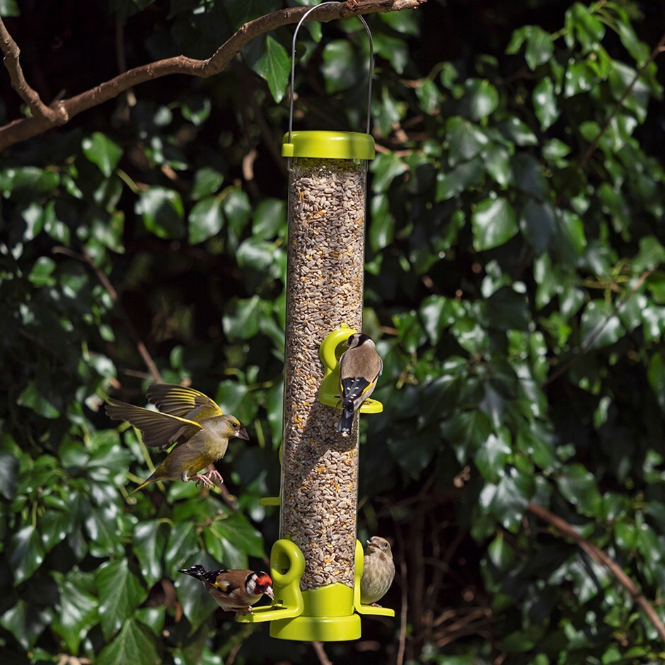 Buy Flo bird seed feeder Delivery by Waitrose Garden