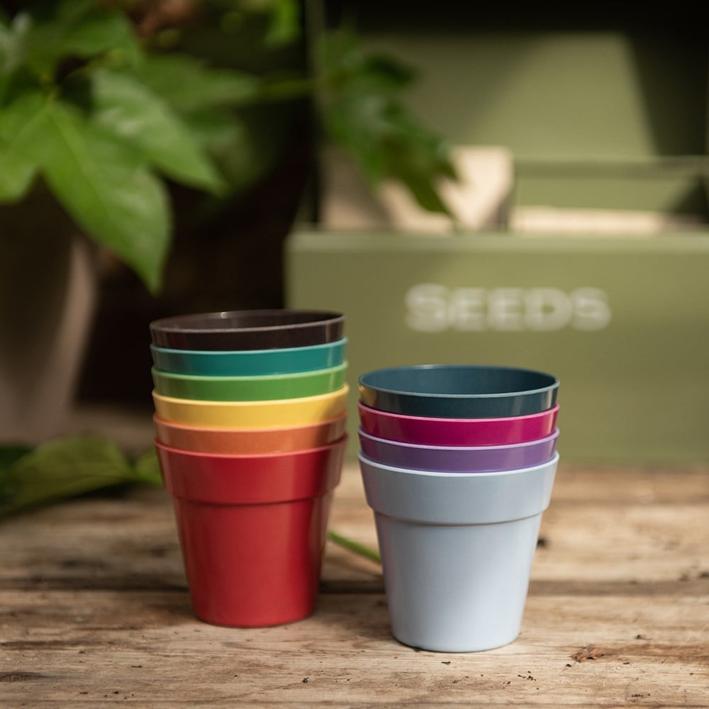 Product options image