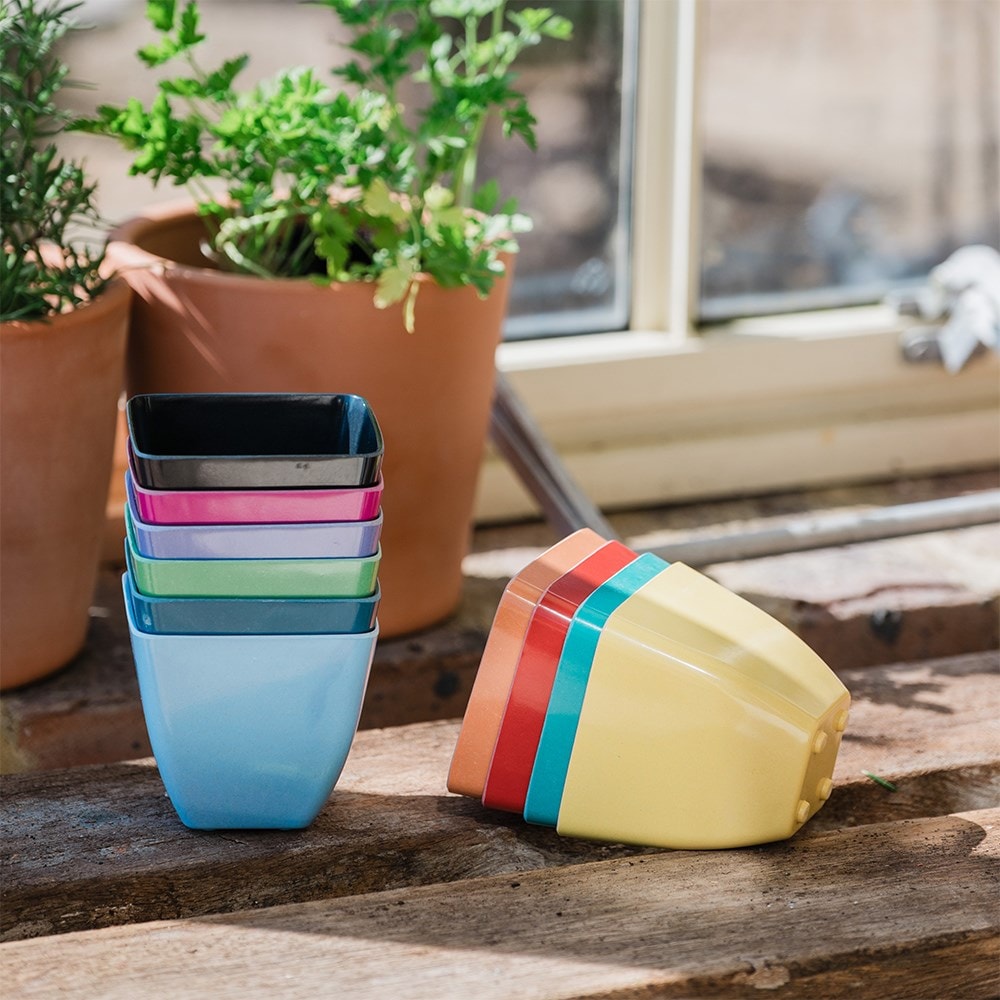 Product options image