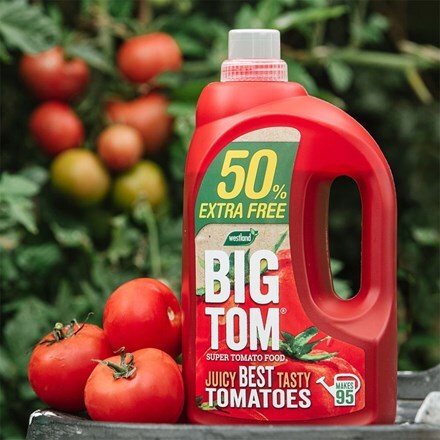 Big Tom super tomato food - 50% extra free