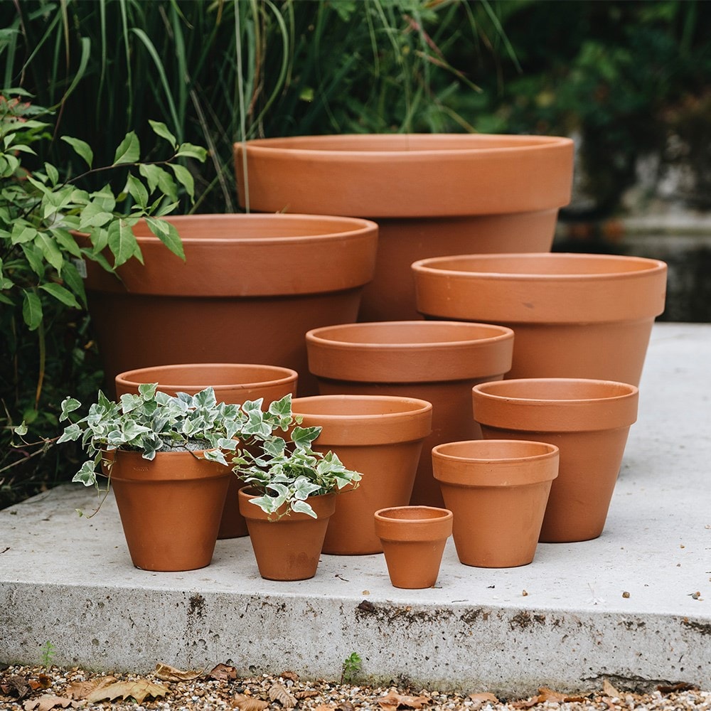 Product options image