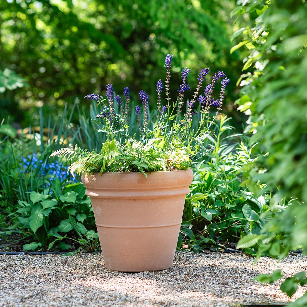 Product options image