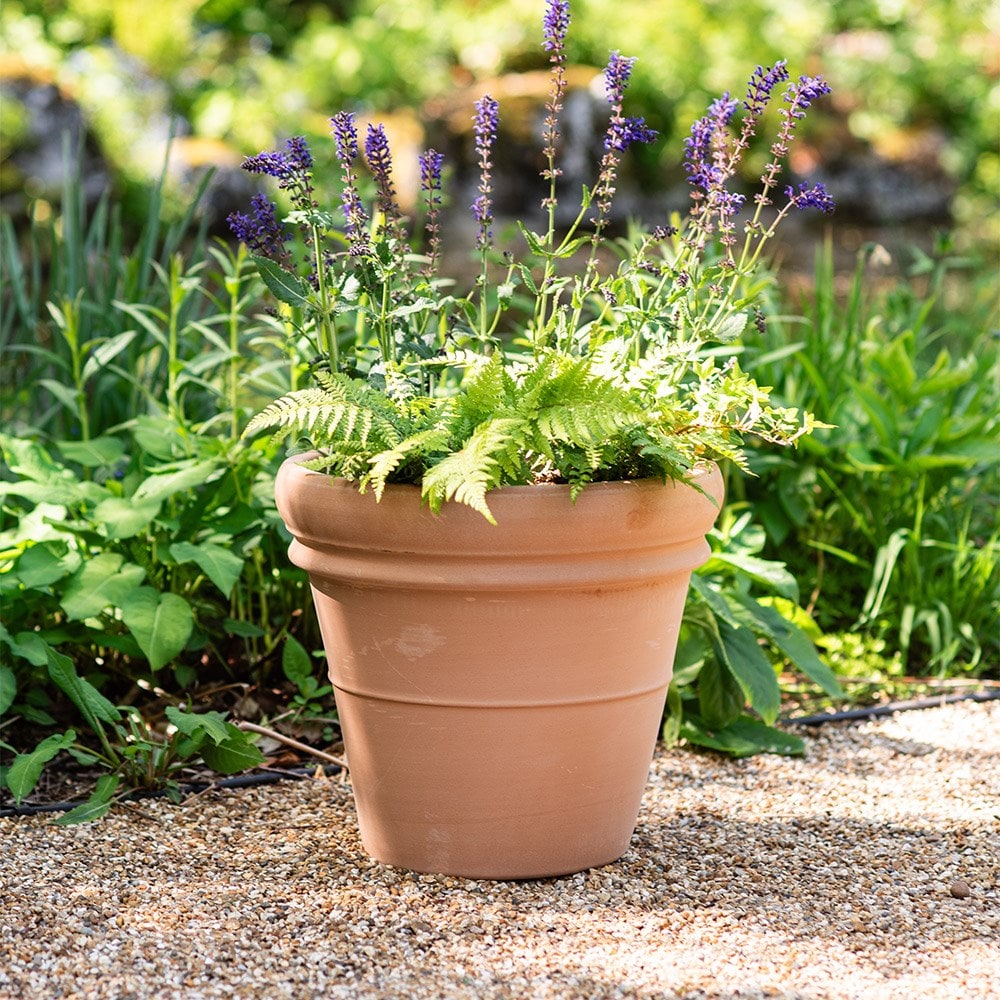 Ridged Italian terracotta pot