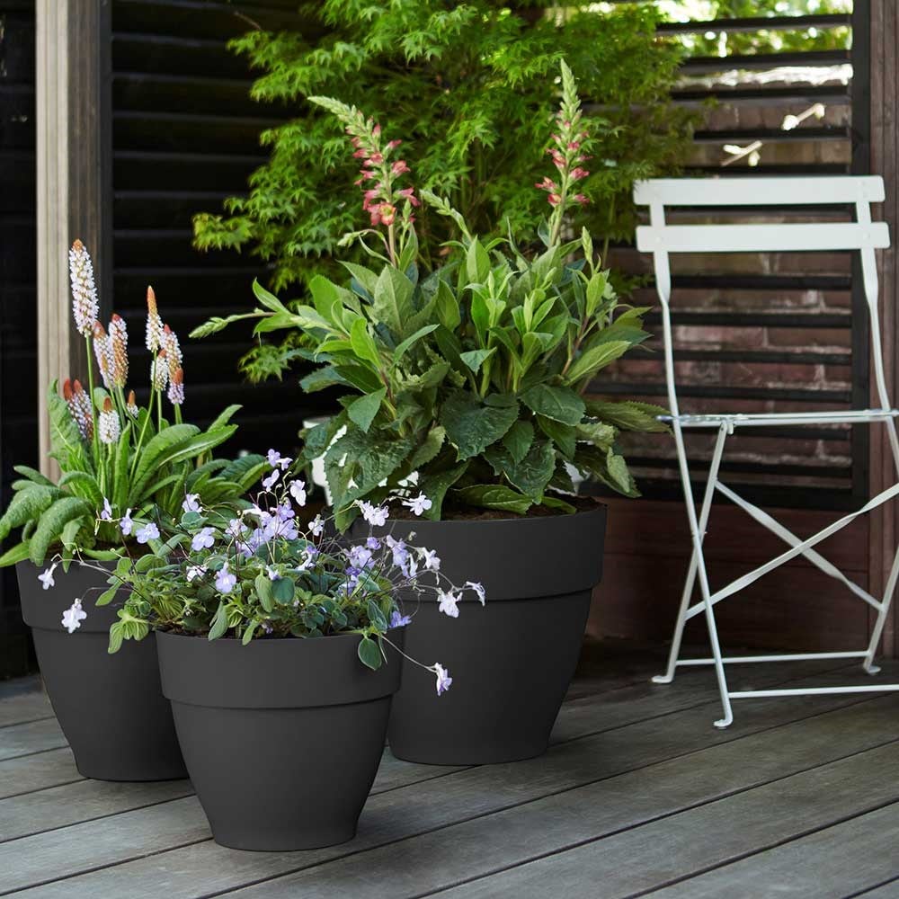 Product options image